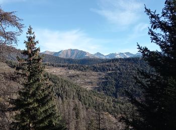 Tocht Stappen Roubion - La Tête de Pommier Pin pourri - Photo