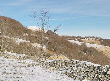 Trail On foot Fascia - Casa del Romano - Monte Antola - Photo