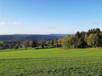 Randonnée Marche Anould - Les Granges - Photo