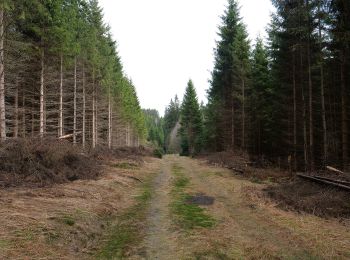 Tocht Te voet Harz (LK Goslar) - Naturmythenpfad - Photo