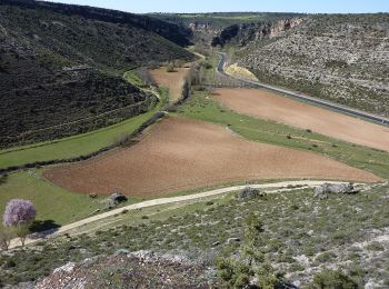 Randonnée A pied Las Valeras - SL-CU 03 Hoz del río Gritos - Photo