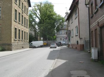 Tocht Te voet Onbekend - DE-SAV Blaues Kreuz, Magstadt - Doggenburg - Photo