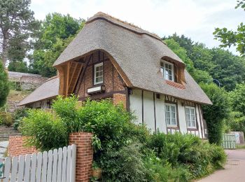 Randonnée Marche Veules-les-Roses - Veules les Rises - Photo