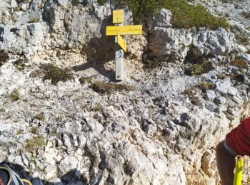 Excursión Senderismo Sarcenas - chamchaude par la brèche Arnaud  - Photo