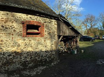 Trail On foot Madré - Boucle de l'Hirondelle - Photo