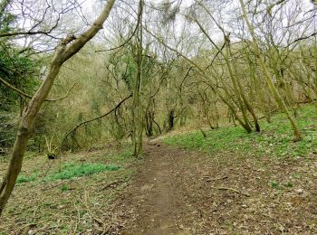 Tour Zu Fuß South Oxfordshire - Boundary Patrol - Photo