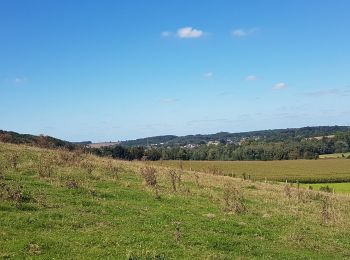 Randonnée Marche Valkenburg aan de Geul - Sibbe - Ijzeren - Schin-op-Geul  - Photo