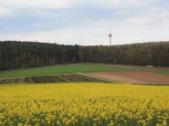 Percorso A piedi Fulda - Rundwanderweg Eichberg - Photo