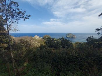 Tocht Stappen Bakio - cantabrie J1 gastalugatxe - Photo