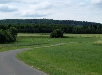 Trail On foot Herborn - Saar-Hunsrück-Steig Zuwegung Herrstein über Oberwörresbach - Photo