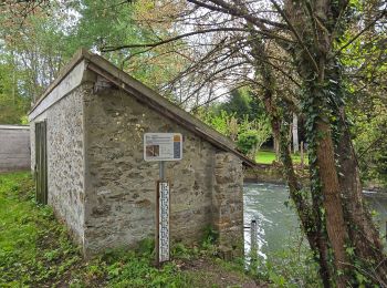 Trail On foot Pommeuse - Les lavoirs de Pommeuse - Photo