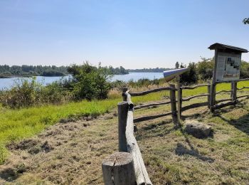 Tocht Te voet Wiedemar - Grabschützer Naturlehrpfad - Photo