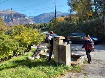 Tocht Stappen La Buisse - Roche Brune par le Grand Ratz - Photo