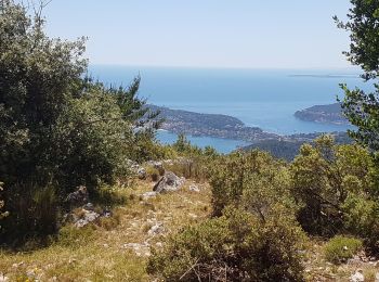 Randonnée Marche Èze - FORT DE LA REVECHE - Photo