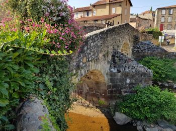 Percorso A piedi Thiers - Château de Vaulx - Thiers - Photo