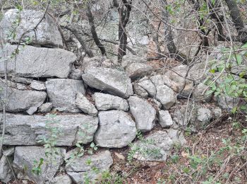 Percorso A piedi Le Revest-les-Eaux - tour depot de munitions-R - Photo