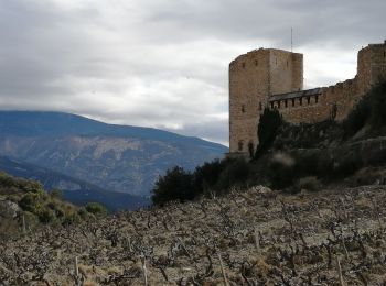 Randonnée Marche Mérindol-les-Oliviers - merindol les oliviers - Photo