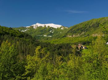 Tour Zu Fuß Brallo di Pregola - Sentiero della Muscarella - Photo