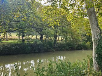 Trail Bicycle tourism Toulouse - Canal du midi étape 1 - Photo