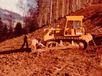 Percorso A piedi Gemeinde Ludesch - Alte Raggalerstraße - Photo