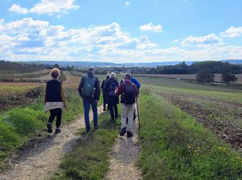 Randonnée Marche Rosoy - Boucle Véron depuis l'Auberge D'Hélix - Photo