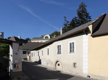 Tocht Te voet Gemeinde Klosterneuburg - Weidling - Hohenauer Wiese - Photo