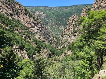 Percorso Marcia Thuès-Entre-Valls - Gorges de la Carança  - Photo