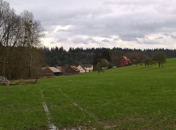 Percorso A piedi Michelstadt - Rundwanderweg Michelstadt Bremhof 5: Brunnthal-Weg - Photo