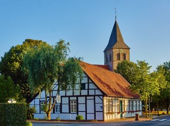 Tocht Te voet Tecklenburg - Teutoschleifchen Brochterbecker Landpartie - Photo