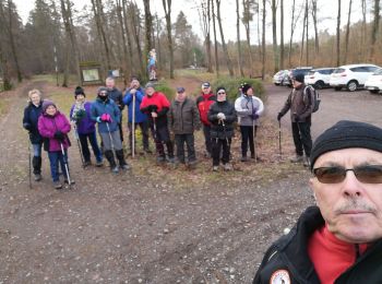 Randonnée Marche Falck - St nicolas - Photo