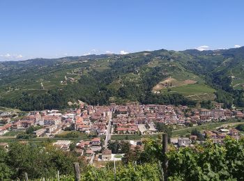 Randonnée A pied Saliceto - Grande Traversée des Langhe - Photo