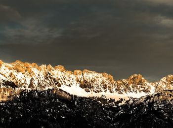 Tocht Te voet Flums - Bergheim Vadella - Bildbrugg - Photo