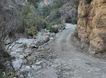 Randonnée Marche Frigiliana - Frigiliana Sierra Tejada - Photo