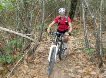 Tour Wandern Beaumont Saint-Cyr - My Colombier - Photo