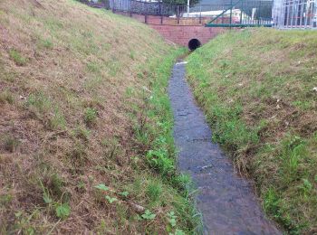 Randonnée A pied Großheubach - Ortswanderweg Großheubach G1 - Photo