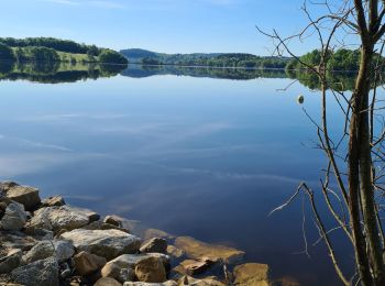 Randonnée Marche Peyrat-le-Château - 2025-05-14-Reco Lac de Vassiviere - Photo