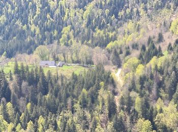 Tour Wandern Arvière-en-Valromey - Le Grand Colombier - Photo