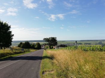 Excursión Bici de carretera Germigny - Haut villers 4 - Photo