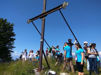 Trail On foot Tremezzina - (SI D12N) Rifugio Boffalora - Grandola e Uniti (Frazione Cardano) - Photo