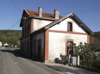 Randonnée A pied Illy - Sentier du Bois Talot - Photo