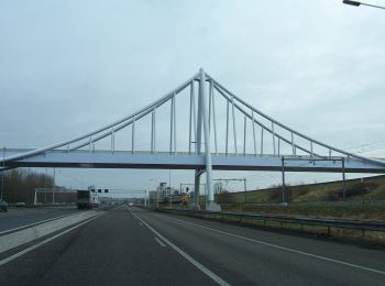 Excursión A pie Pijnacker-Nootdorp - Laarzenpad De Balij - Photo