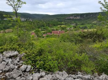 Trail Walking Corn - Le causse par lacoste - Photo