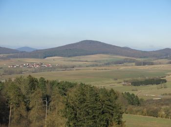 Tour Zu Fuß Hünfeld - Rundweg am Weinberg - Photo