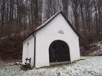 Trail On foot Hallerndorf - Neuses-Ebermannstadt - Photo