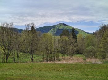 Randonnée Marche Niedersteinbach - Froensbourg - Photo