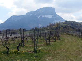 Excursión Senderismo Apremont - Cascade du ROUSELET-2021-04-19 - Photo