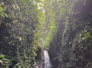 Tocht Stappen Saint-Pierre - Cascade des rois  - Photo