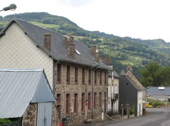 Percorso A piedi Valbeleix - Le Plateau de la Chavade et la Roche Nite - Photo