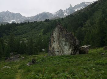 Excursión Marcha nórdica Evolène - arola  - Photo