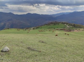 Tour Wandern Montferrer - MONTFERRER MARDI JOURNÉE Fait - Photo